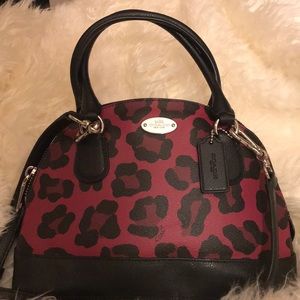 Coach Crossbody Bag